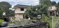 Wallace Way (D11), Detached #529107051